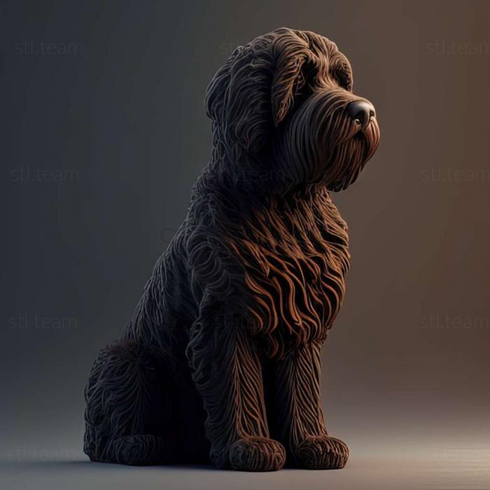 3D model Barbet dog breed dog (STL)